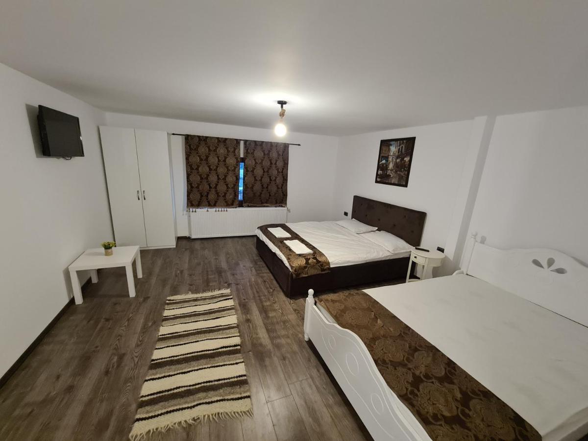 Vila Sia Hotel Râmnicu Vâlcea Eksteriør billede